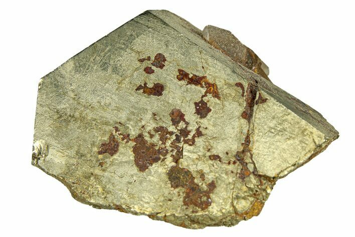 Pyrite Crystal with Quartz - Spruce Ridge, Washington #301248
